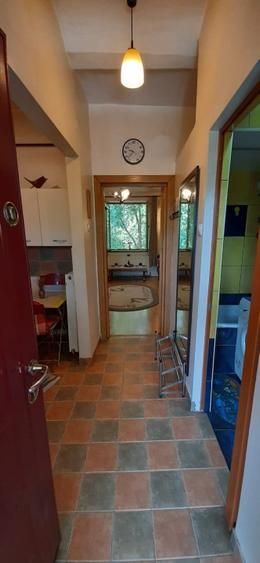 Garsonieră în vilă, terasă 10 mp, curte proprie, mobilată complet, Baba Novac - Poză 6