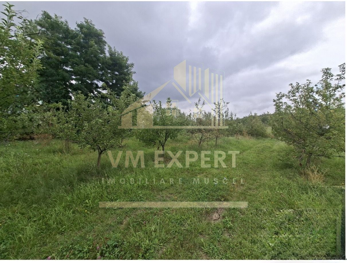 TEREN 20.621 MP CAMPULUNG - Poză 5