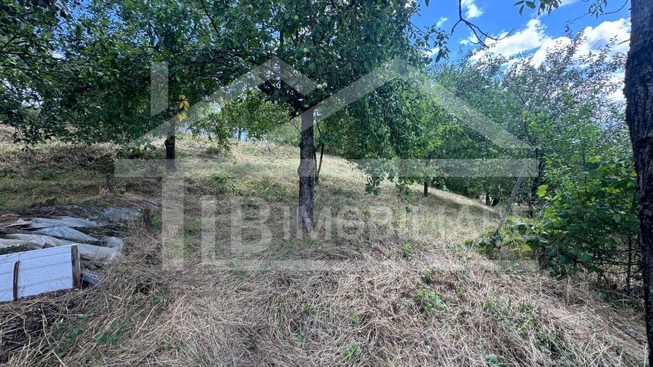Casa cu 3 camere, 2300mp teren, zona SubPadure - Poză 16