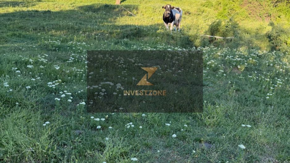 ⭐  Teren de 2.700 mp cu front generos – Ocazie în Oncea - Poză 24