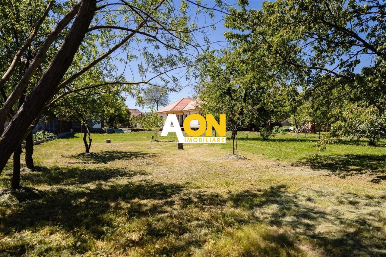 Casa de vanzare Vintu de Jos+ Casa mobila mobilata si utilata - Poză 6