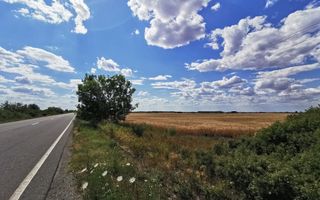 De vânzare teren extravilan, 11,600 mp, Salonta - Poză 7