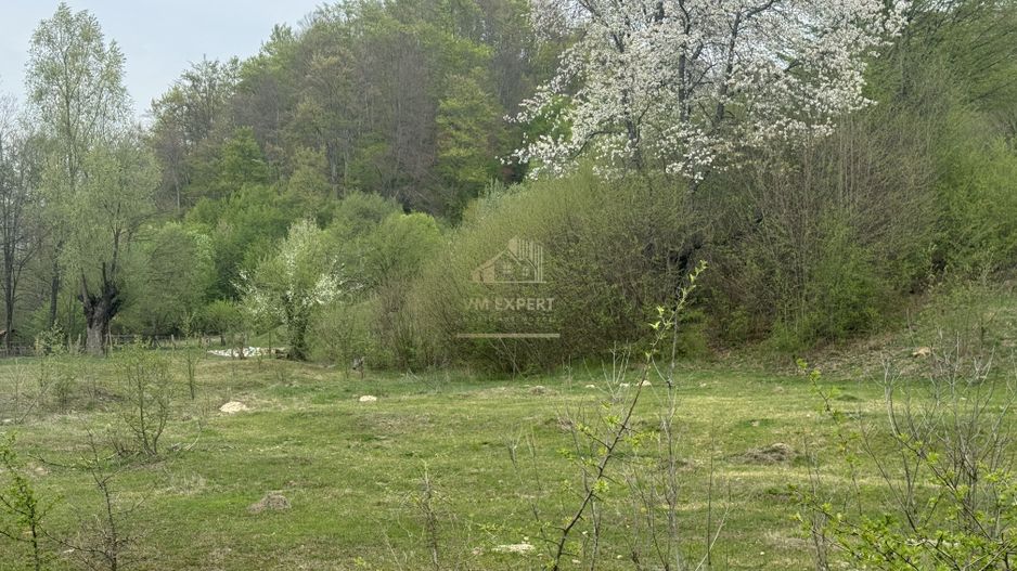 TEREN EXTRAVILAN 40000 MP, ALBESTI DE MUSCEL, CANDESTI - Poză 10