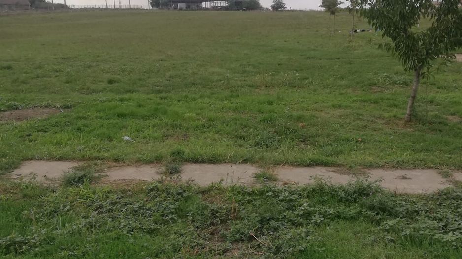 Ferma de vânzare - Poză 13