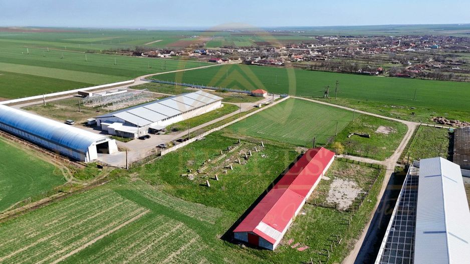 Tariverde - Ferma zootehnica functionala, 3 hectare teren intravilan! - Poză 2