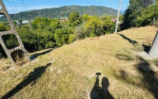 TEREN INTRAVILAN 3234 MP LEREȘTI VOINEȘTI ARGEȘ - Poză 27