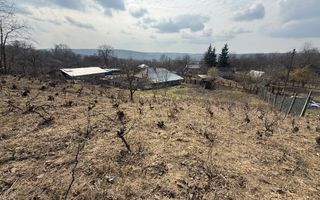 Teren intravilan Dobrovat + Casa Batraneasca - Poză 7