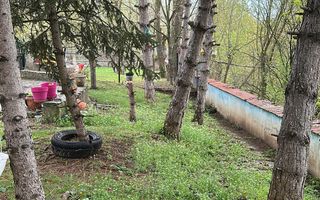 Vila cu potential zona Jolie Ville - Poză 7