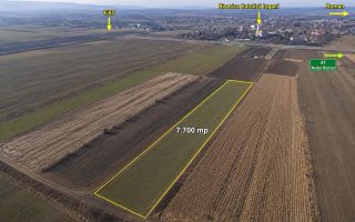 Teren agricol 7.700 mp, Iugani, lângă E85 și Nodul A7 Roman – investiție sau arendă - Poză 1