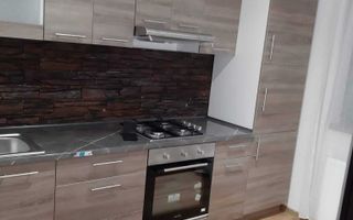 Apartament cu 2 camere și grădină de închiriat, Valea Lupului - Poză 4
