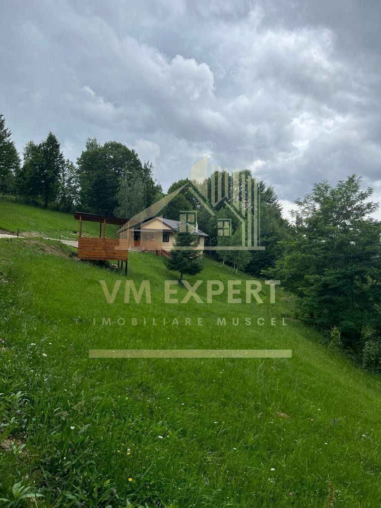 CASA 3 CAMERE, TEREN 3100 MP, ALBESTI DE MUSCEL, ARGES - Poză 16