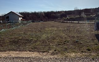 Teren intravilan 700 mp cu utilități în Paleu - Poză 3