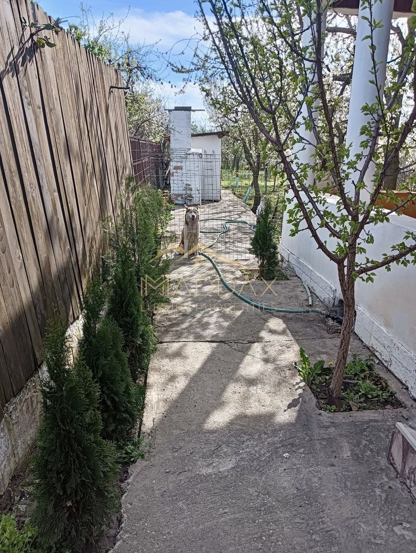 Vila 9 camere***gradina cu pomi fructiferi//1085 mp teren***Dragomiresti-Deal - Poză 20