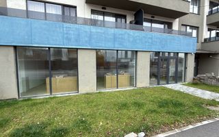 Spațiu comercial ideal showroom str Borhanciului - Poză 3
