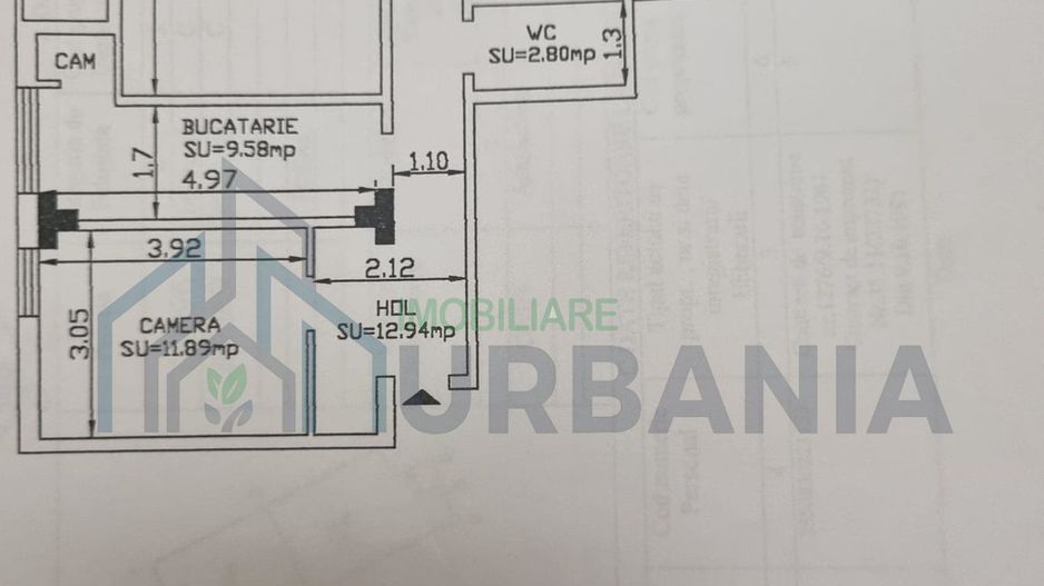 Apartament 3 camere de vânzare, Podu de Fier, Iași - Poză 21