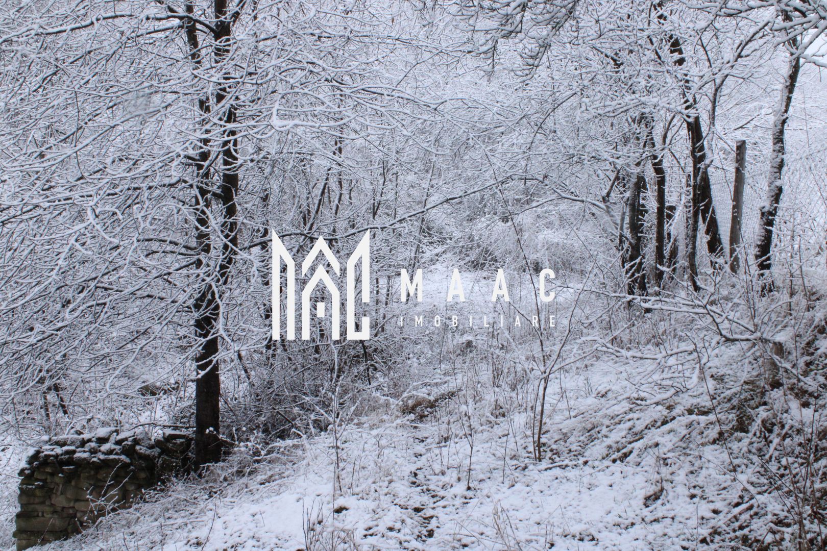 Teren cu izvor de apă minerală  Dangești, Punctul Valea Mare - Poză 25