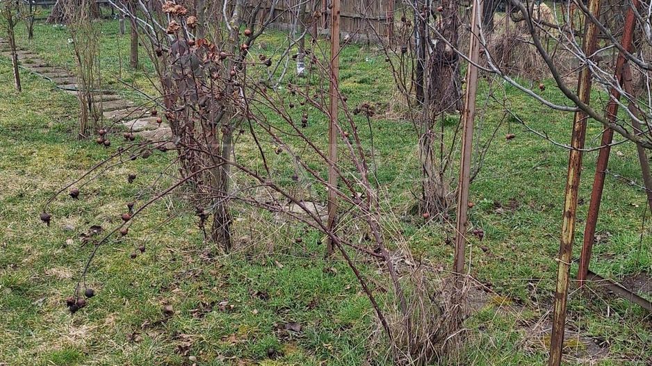 Casa cu teren generos in zona Gheorgheni - Poză 10