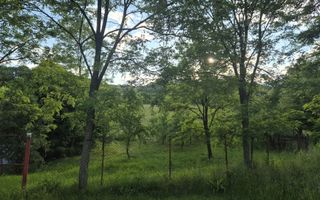 Teren intravilan 1201 mp – Curtea de Arges, Strada Haiducesti - Poză 3