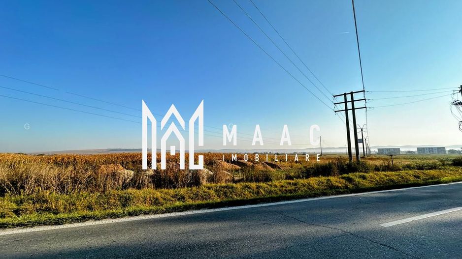 Teren 10.000 mp I Dezvoltare rezidențială I Calea Șurii Mici - Poză 2