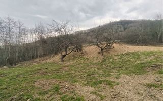 Teren extravilan agricol 1.184 mp | Sibiel | utilități la 100 m - Poză 5