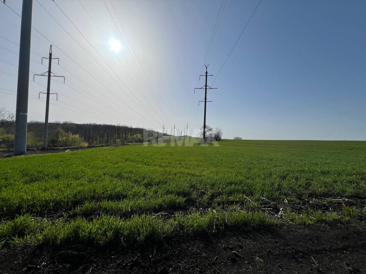 Teren 41,49 ari Ghidighici | deschidere 122 m | agricol | investiție - Poză 11