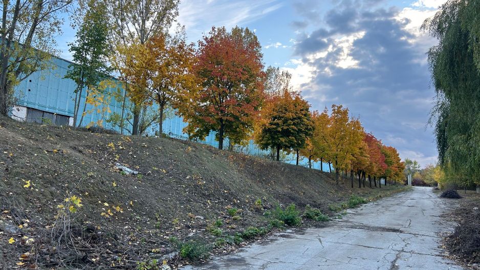Chirie Spatii industriale / Depozituri - Poză 16