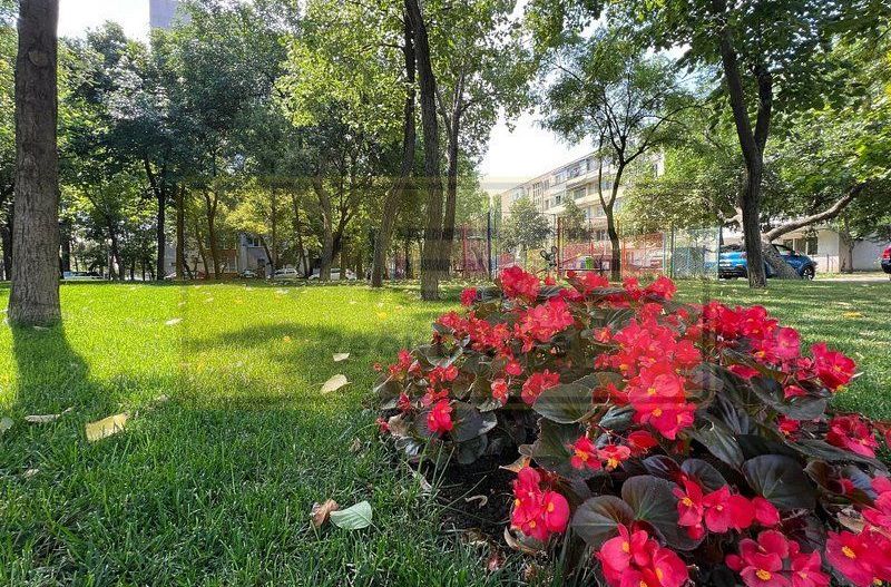 Apartament 2 camere Podu Ros 10 min Centru - Poză 1