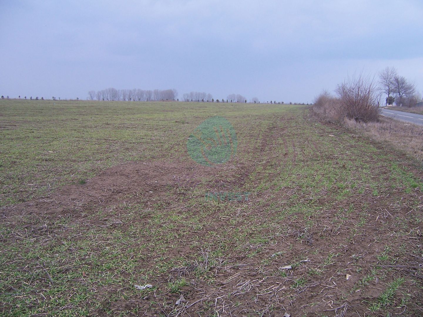 Teren constructii intravilan de 1000 mp, Venus - Poză 1