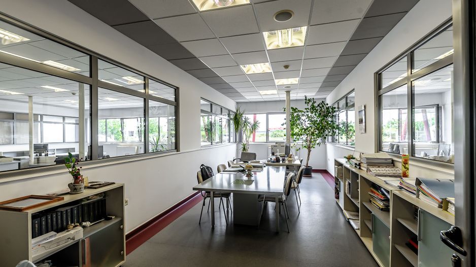 Oportunitate: Hală de producție și depozitare cu birouri în Arad - Poză 11