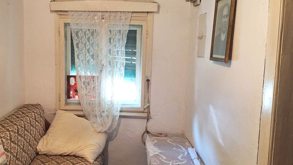 VÂND CASĂ CU CURTE ȘI GRĂDINĂ – COVĂSINȚ, ARAD | UTILITĂȚI RACORDAT - Poză 3