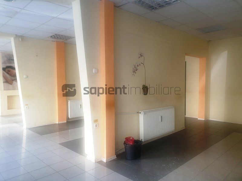SAPIENT | Spatiu comercial pe B-dul Dacia - Poză 2