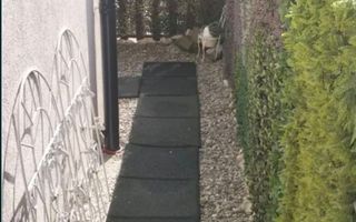 Apartament 2 camere | 55MPU | Gradina | Arhitectilor - Poză 8