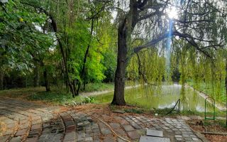 Teren 6779mp - Zona IKEA - Poză 5