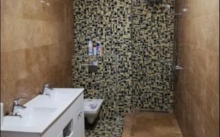 Apartament Bratianu - Poză 8