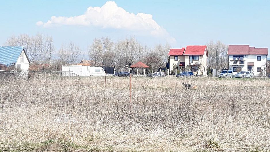 Bod, teren intravilan 700mp, pret 20 euro/mp - Poză 5