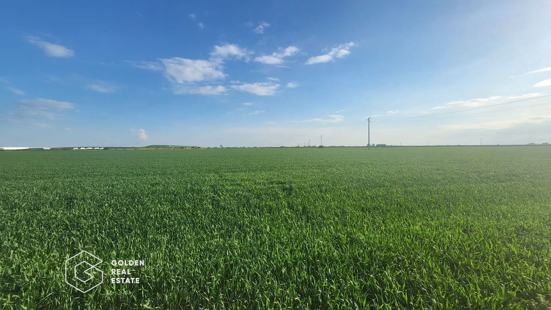 Teren arabil 10.000 mp, Calea Sagului DN 59 - Poză 1