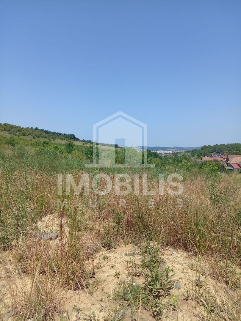 Teren de vanzare | 8800 mp | Viile Dealul Mic - Poză 3