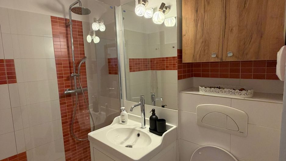 AP. 3 CAMERE DRISTOR, BLOC REABILITAT, PET-FRIENDLY, METROU 2 MINUTE - Poză 13