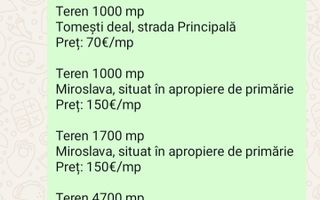 Casă de închiriat - Poză 8