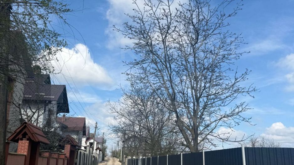 Vânzare, teren, 7.5  ari, strada Drumul Viilor, Dumbrava - Poză 5