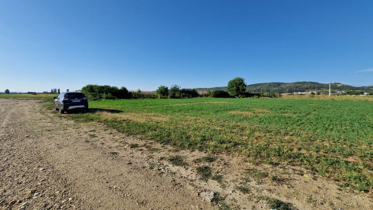 Vanzare teren industrial, Stefanesti, strada Sticlelor - Poză 7