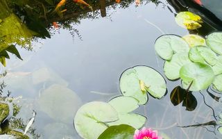 Vila vanzare| Balotesti| duplex P+1 deosebit |complet renovata in 2025 - Poză 10