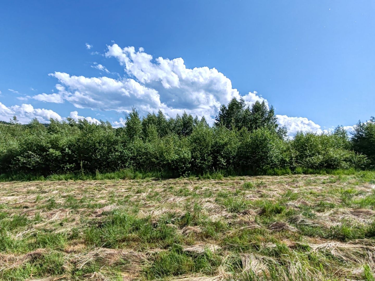 1,3 HA TEREN EXTRAVILAN FANEATA, in Muntii Apuseni, Negreni, jud. Cluj - Poză 2