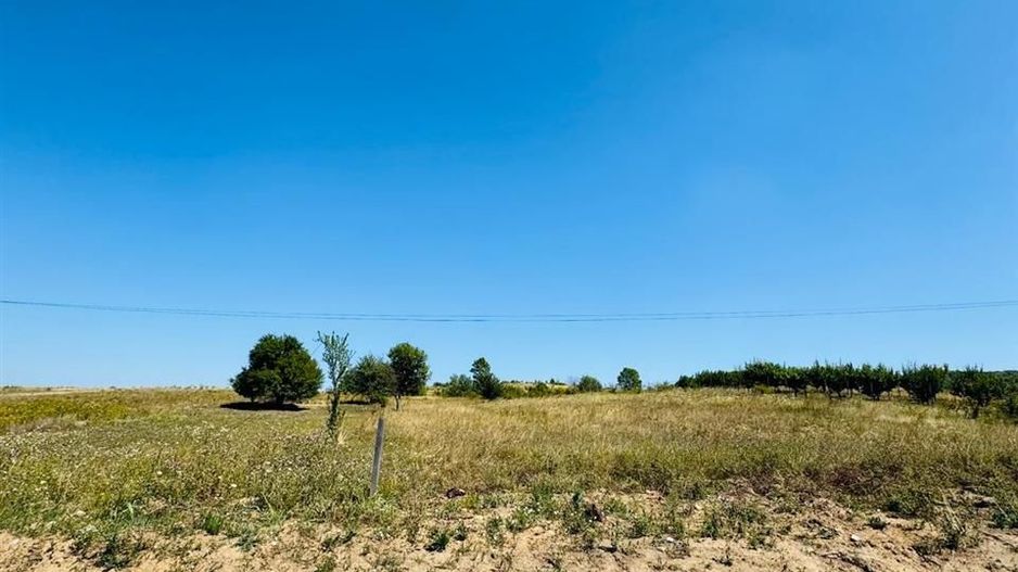 Teren Intravilan Baile Felix cu acces din E79 - Poză 3