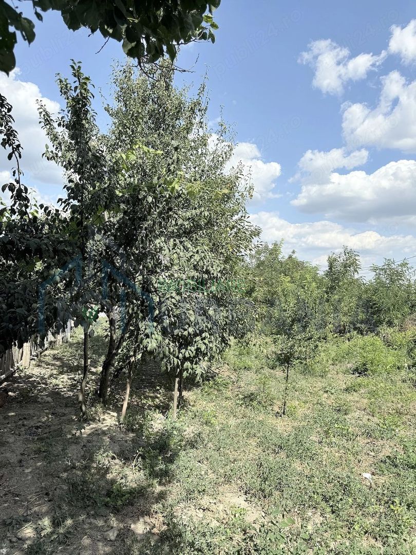 Casă + Teren 521 mp în Sat Bălteni, Comuna Probota, Județul Iași - Poză 6