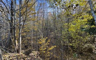 TEREN INTRAVILAN 13167 MP BUGHEA DE SUS ARGES - Poză 18