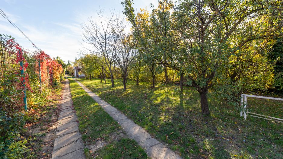 Casa cu 4 camere de vanzare Domnesti - Poză 21