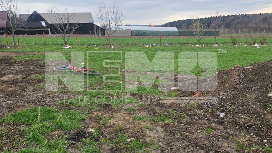 Casa Horodnic | 60 Ari | Strada Principal - Poză 10