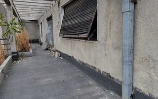 Terasa 60mp // 3 camere // Vedere panoramica - Poză 19