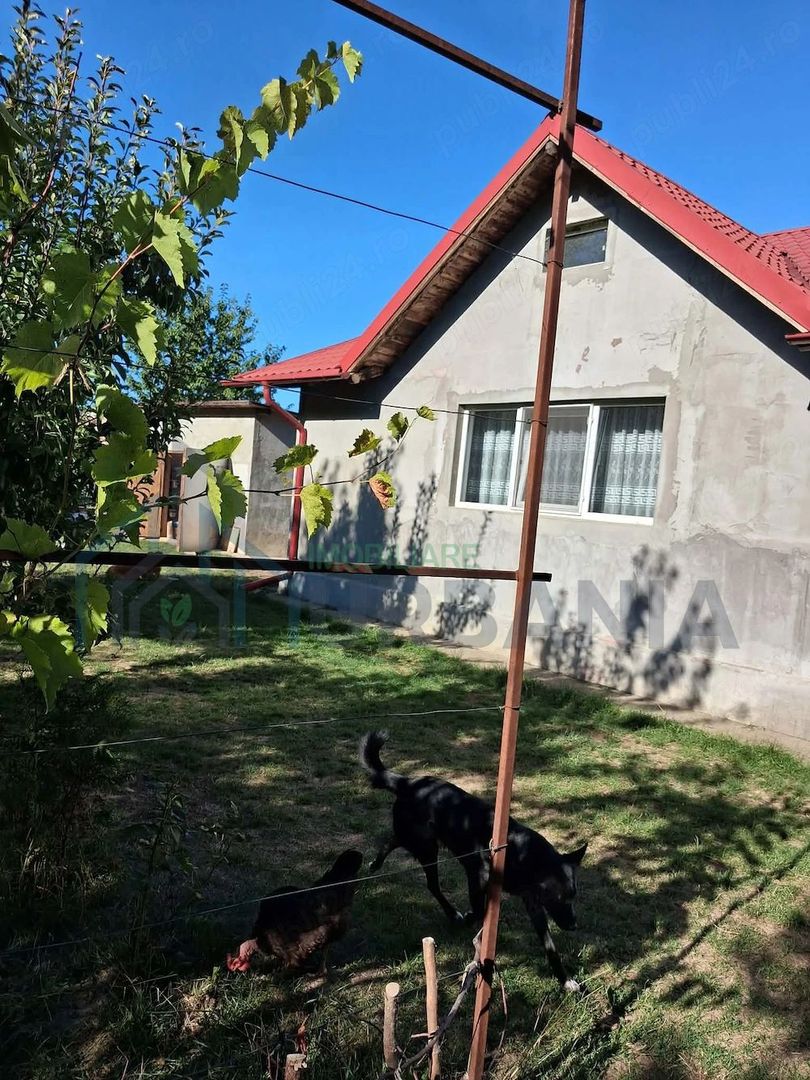 Casă 200 mp cu teren 2000 mp în zonă liniștită, Topile/Valea Seacă - Poză 3